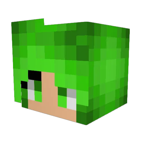 forbullitwin Minecraft avatar head, 3D render