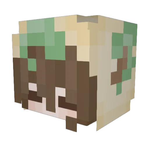 forbydden Minecraft avatar head, 3D render