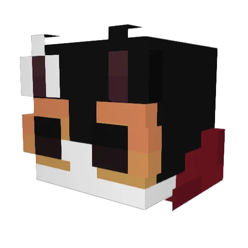 forceTgoober Minecraft avatar head, 3D render