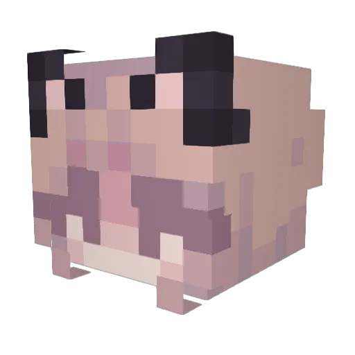 fordf150newpaint Minecraft avatar head, 3D render