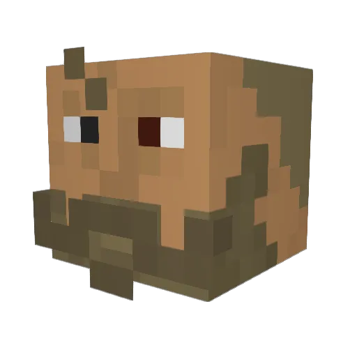 forebrow Minecraft avatar head, 3D render