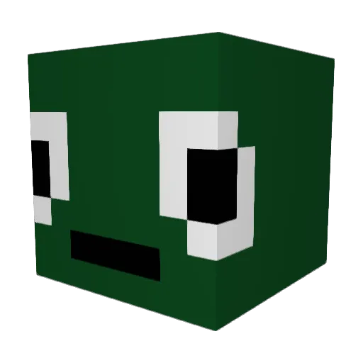 foreignfoe Minecraft avatar head, 3D render