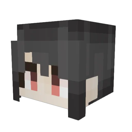 foreseeings Minecraft avatar head, 3D render