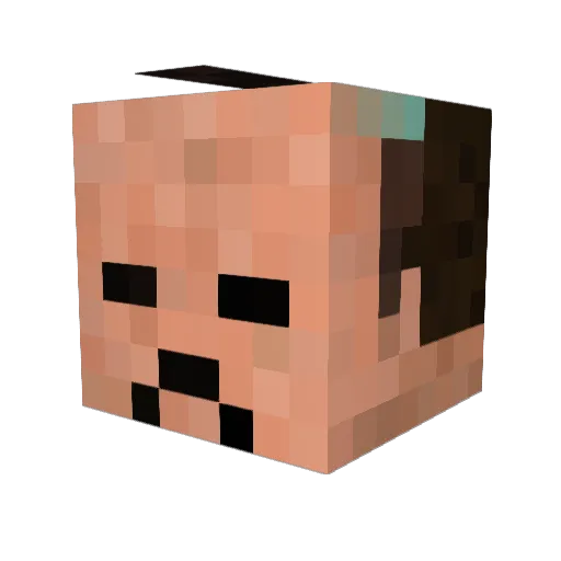 forestchild88 Minecraft avatar head, 3D render