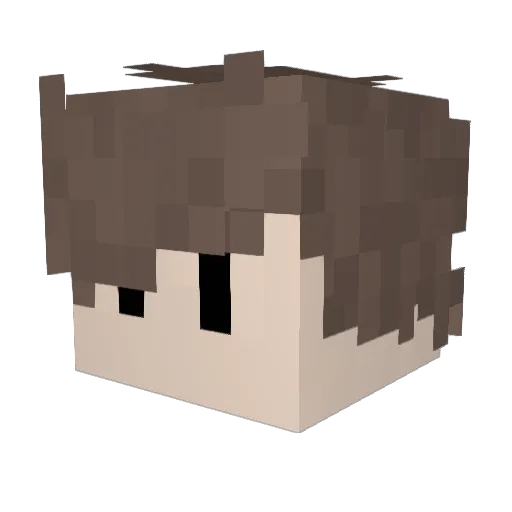 forestpanda8 Minecraft avatar head, 3D render