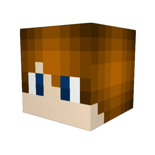 forever500 Minecraft avatar head, 3D render