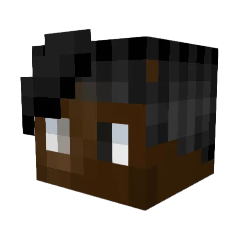 foreverfought35 Minecraft avatar head, 3D render