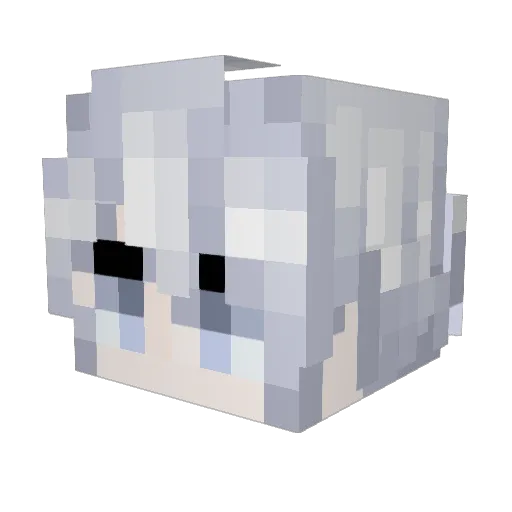 foreverwon Minecraft avatar head, 3D render