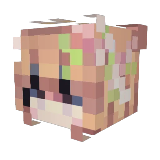 forg0 Minecraft avatar head, 3D render