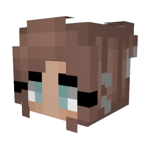 forgcore Minecraft avatar head, 3D render