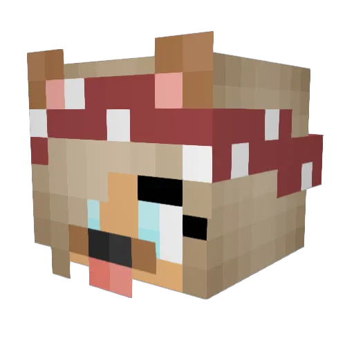 forge9123 Minecraft avatar head, 3D render