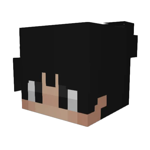 forgiobombi Minecraft avatar head, 3D render