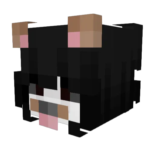 forgivenwave Minecraft avatar head, 3D render