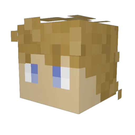 forgoten_boy Minecraft avatar head, 3D render