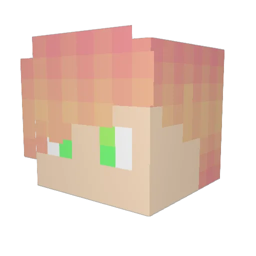 forgottenpluto Minecraft avatar head, 3D render