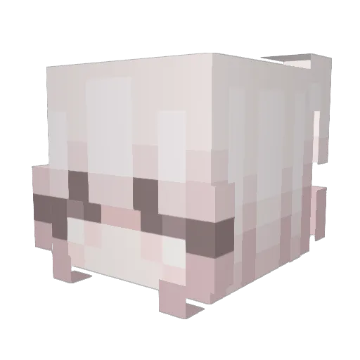forgottenruin Minecraft avatar head, 3D render