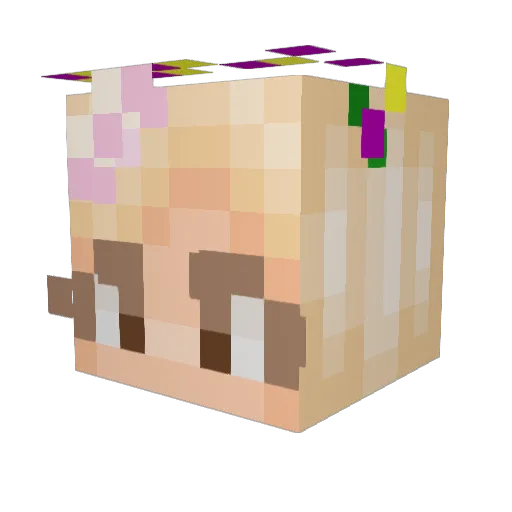 foringa31 Minecraft avatar head, 3D render