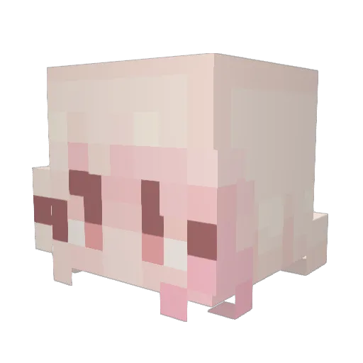 forkbobm Minecraft avatar head, 3D render