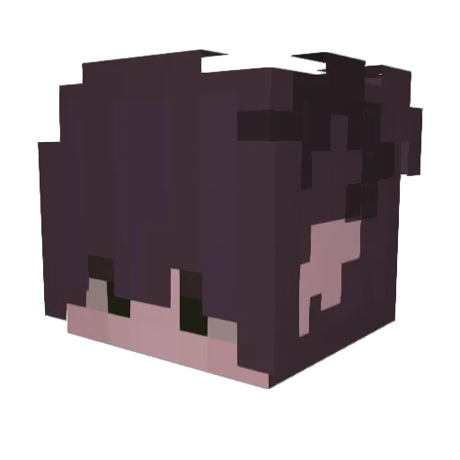 forkhax Minecraft avatar head, 3D render