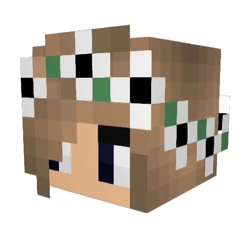 forkkid Minecraft avatar head, 3D render
