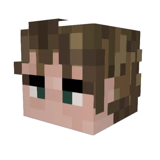 forkroots Minecraft avatar head, 3D render