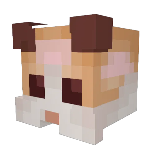 forlovers Minecraft avatar head, 3D render