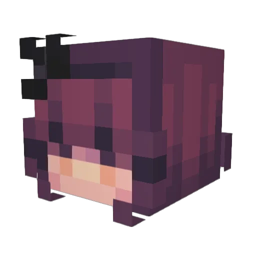 form_of_chicken Minecraft avatar head, 3D render