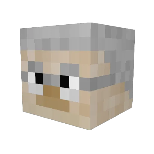 formamac Minecraft avatar head, 3D render
