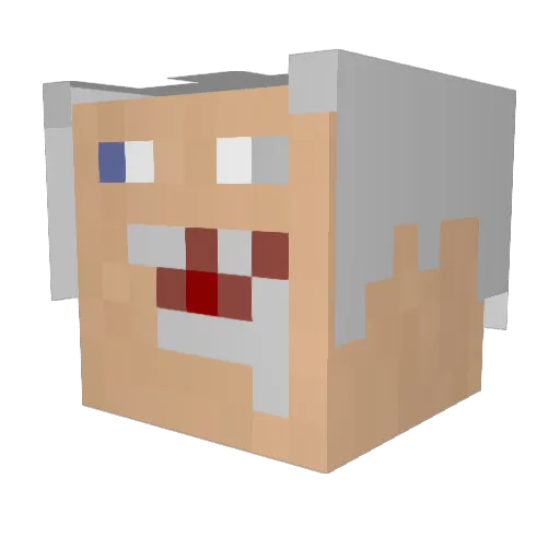 forrest1010 Minecraft avatar head, 3D render