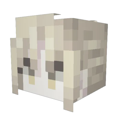 forsaken911 Minecraft avatar head, 3D render