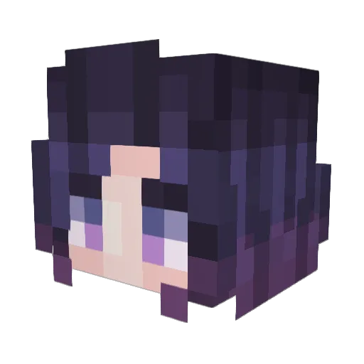 forshadow4 Minecraft avatar head, 3D render