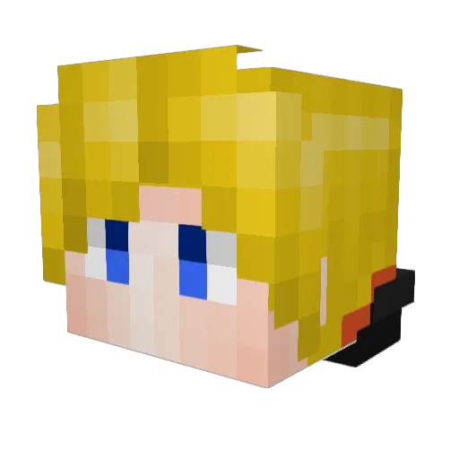 forsure_ Minecraft avatar head, 3D render
