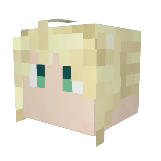 forte0707 Minecraft avatar head, 3D render