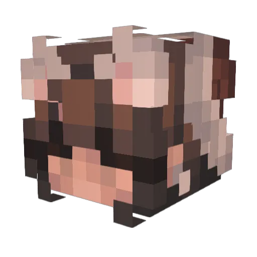 fortnajtmark Minecraft avatar head, 3D render