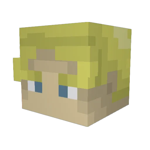 fortnitekid062 Minecraft avatar head, 3D render