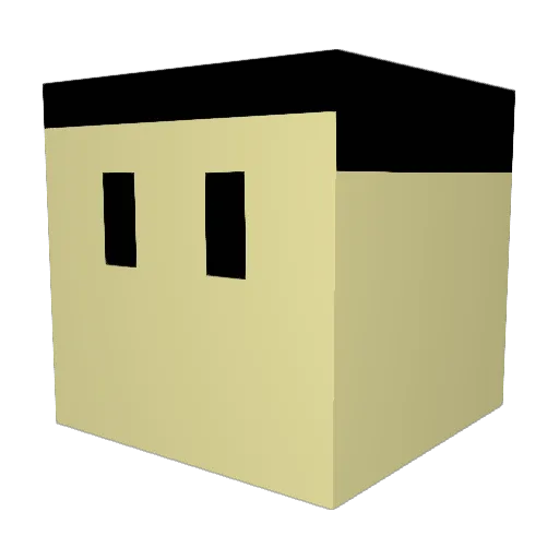 fortnitplayer221 Minecraft avatar head, 3D render