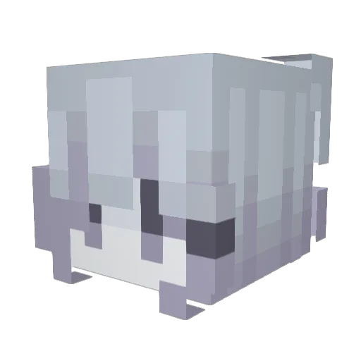 fortunateUntouc Minecraft avatar head, 3D render