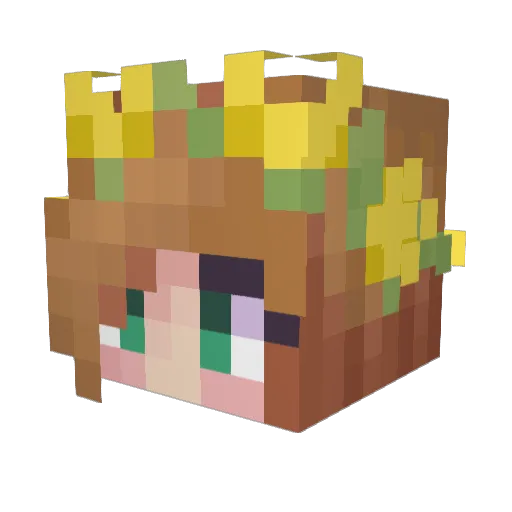 fortunatefool347 Minecraft avatar head, 3D render