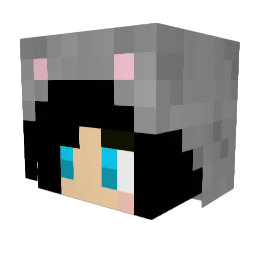 forusu Minecraft avatar head, 3D render