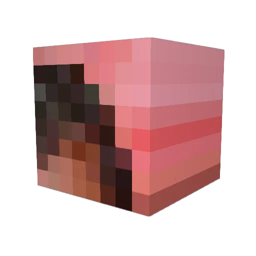 forzanapolee Minecraft avatar head, 3D render
