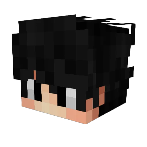 fos_12 Minecraft avatar head, 3D render