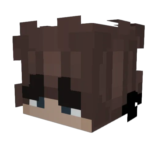 fosterqt Minecraft avatar head, 3D render