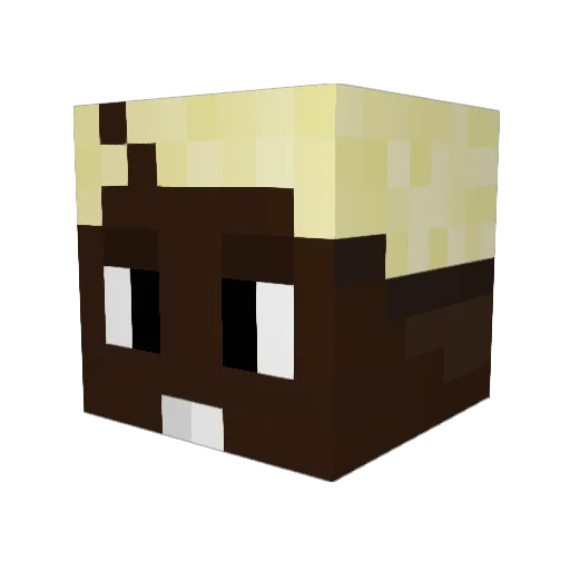 fotlvhem Minecraft avatar head, 3D render
