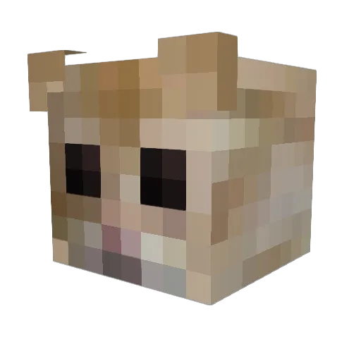 fotsvampar Minecraft avatar head, 3D render