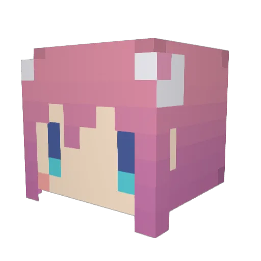 foundcat Minecraft avatar head, 3D render