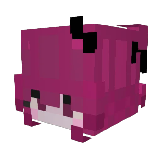 four20_6nine Minecraft avatar head, 3D render