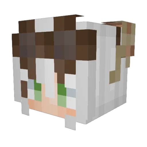 fourmisses Minecraft avatar head, 3D render