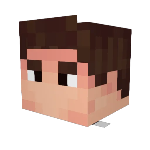 fov5 Minecraft avatar head, 3D render
