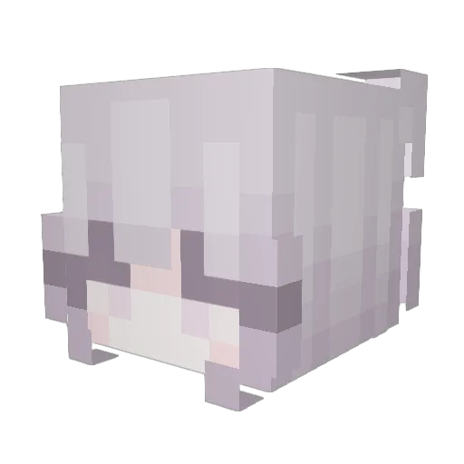 fovelyne Minecraft avatar head, 3D render