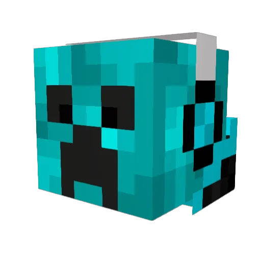fowhsing0521 Minecraft avatar head, 3D render